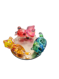 Cat Magnet Minis