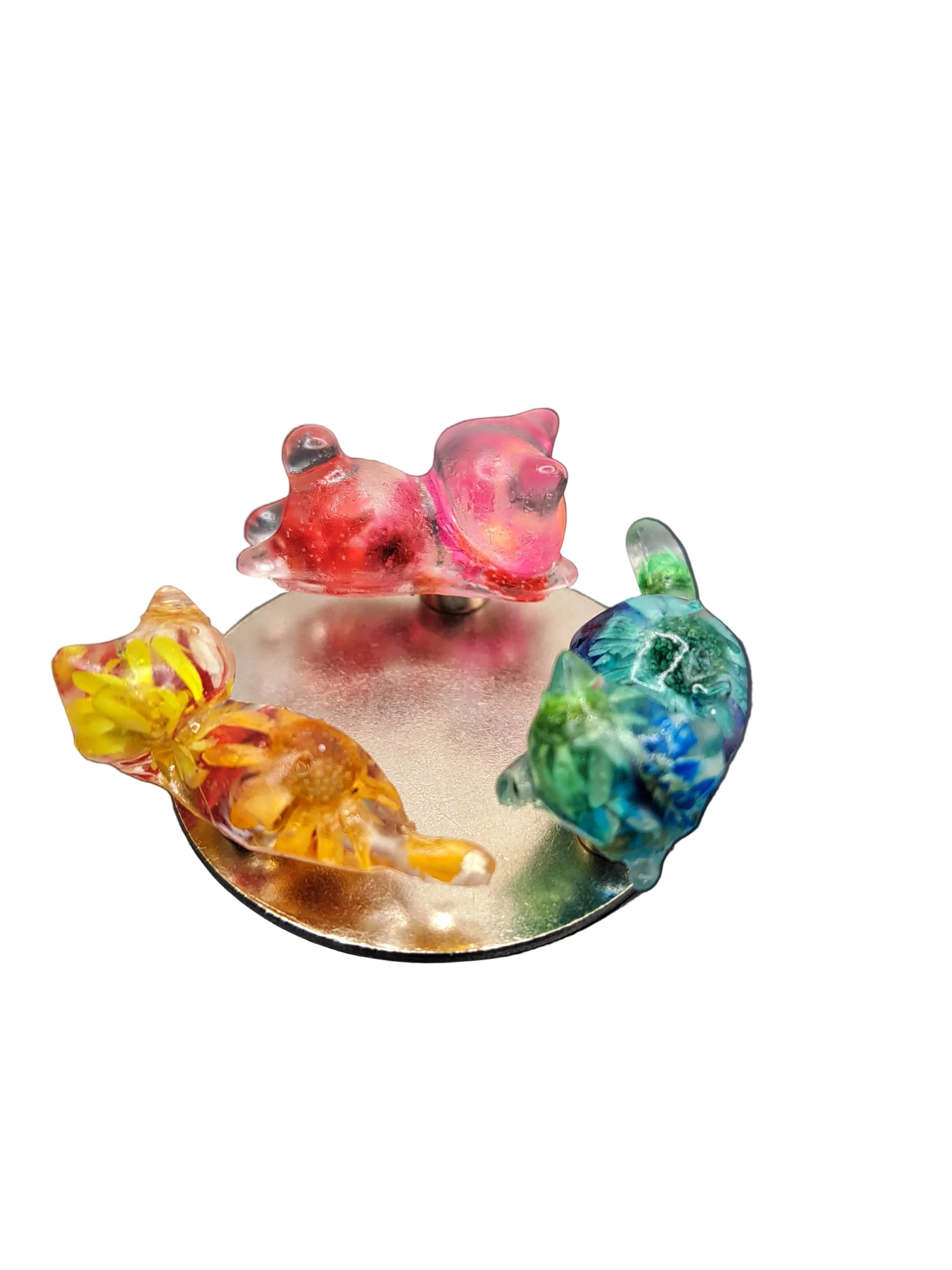 Cat Magnet Minis